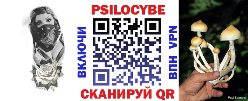 Псилоцибиновые грибы Cubensis  MEGA как зайти  Усолье-Сибирское  магазин   